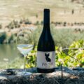 JÁFOSTE: A Joia da LR Wines & Experiences