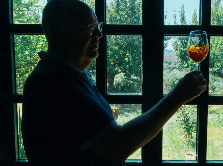 LR Wines & Experiences