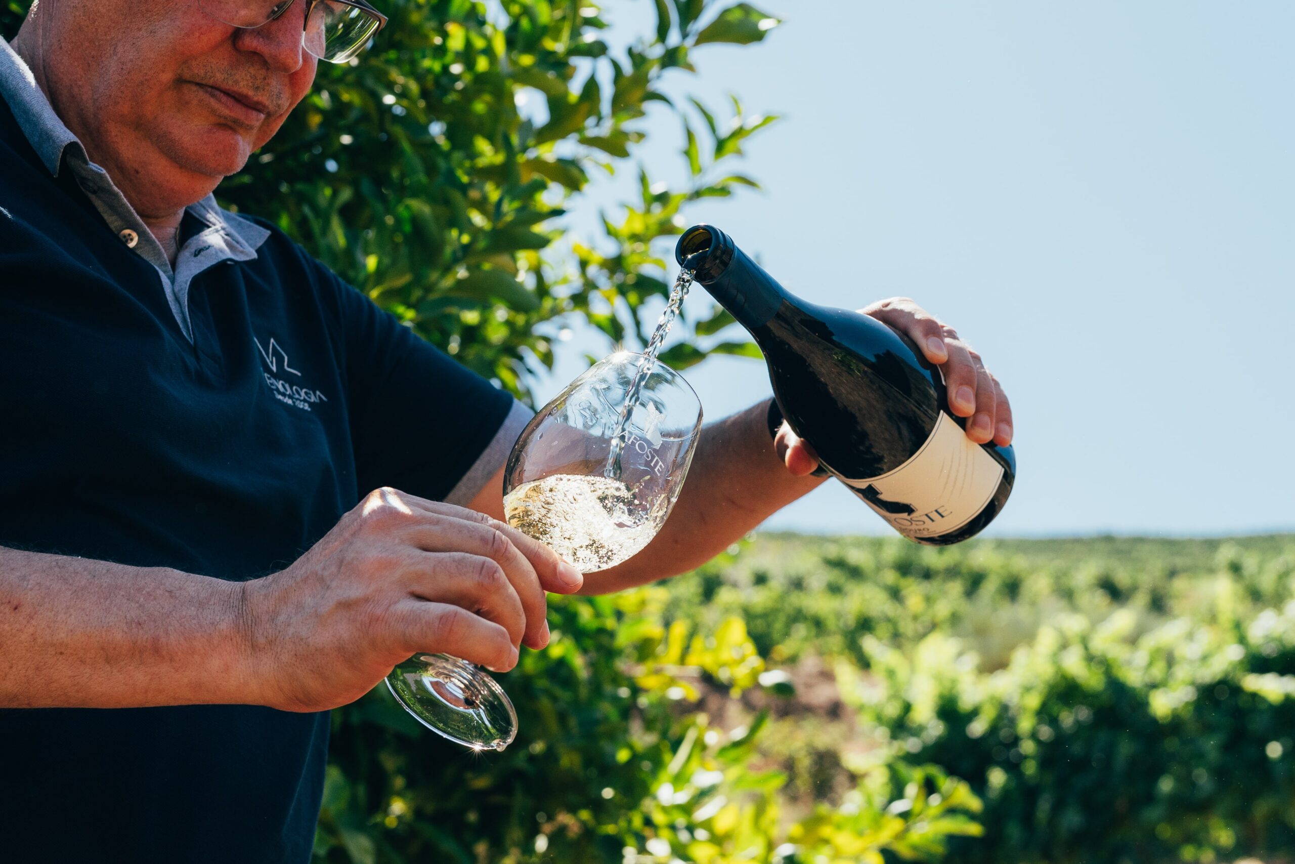 LR Wines & Experiences
