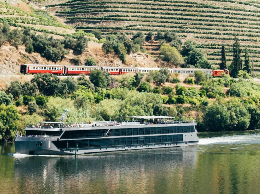 LR Wines & Experiences