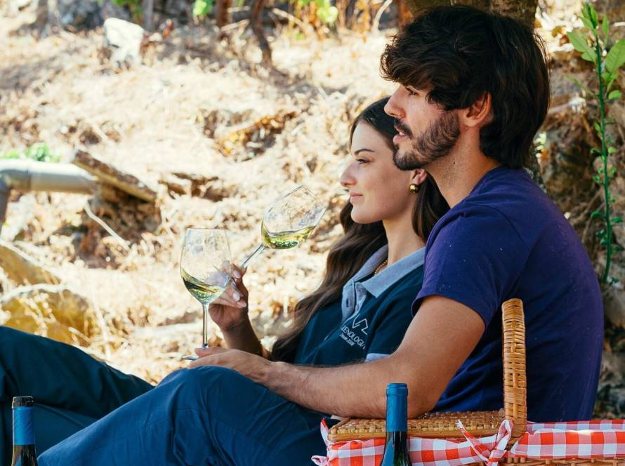 LR Wines & Experiences