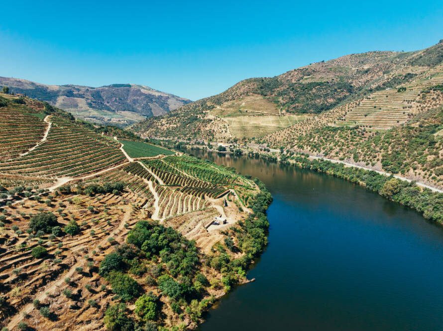 LR Wines & Experiences